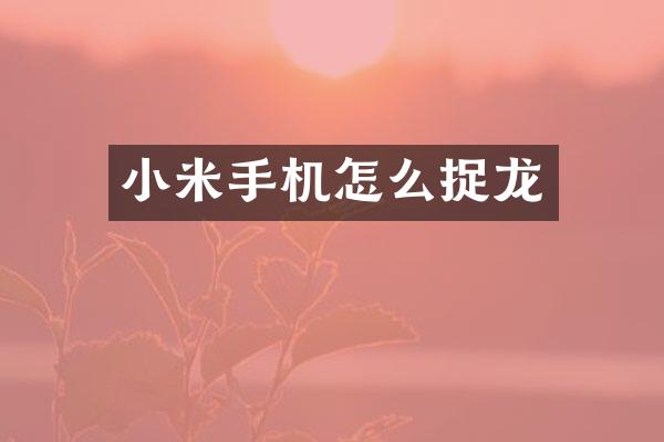 小米手机怎么捉龙