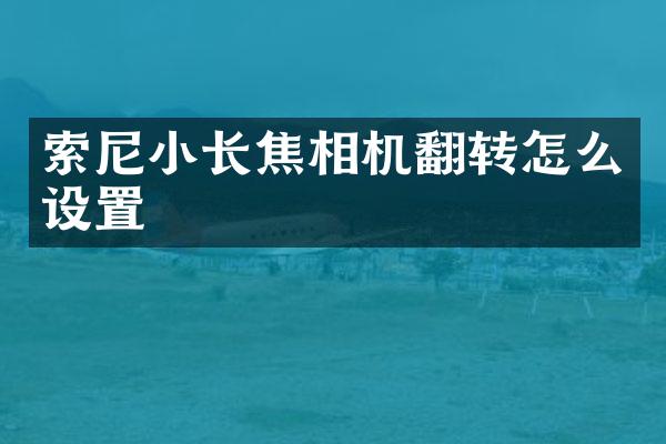 索尼小长焦相机翻转怎么设置