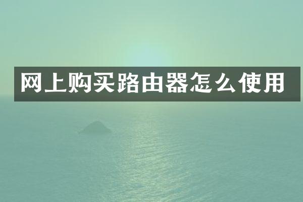 网上购买路由器怎么使用