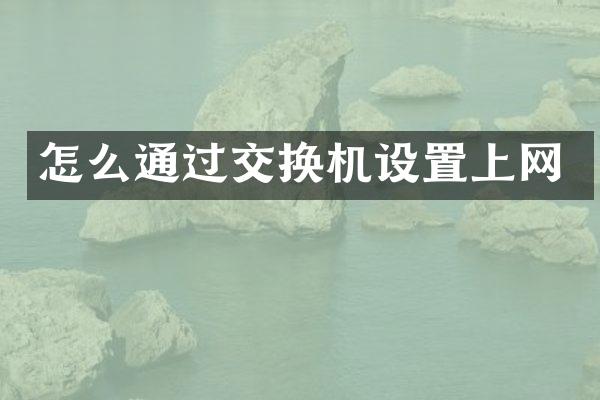 怎么通过交换机设置上网