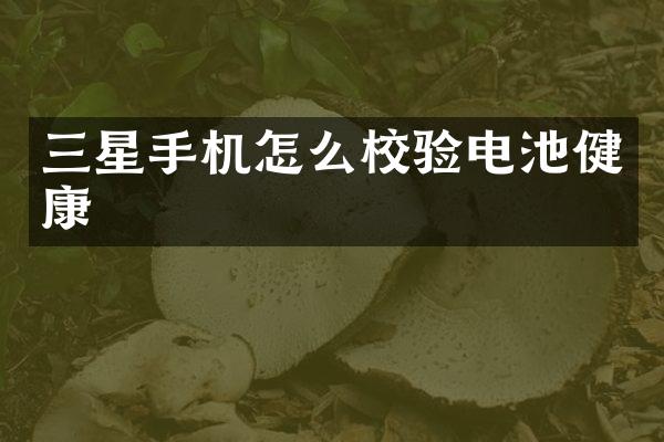 三星手机怎么校验电池健康
