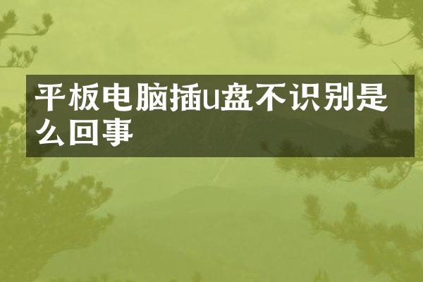 平板电脑插u盘不识别是怎么回事