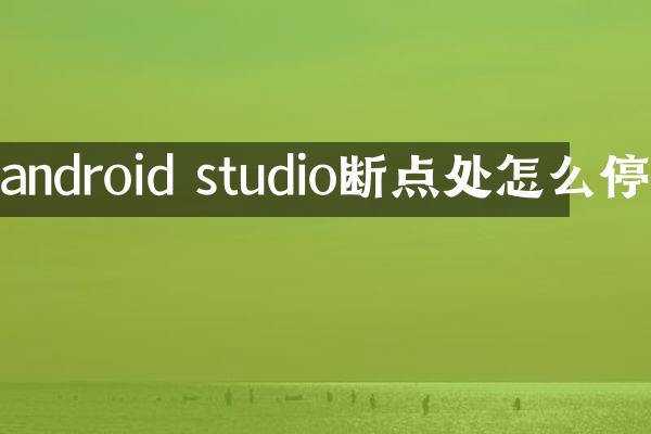android studio断点处怎么停