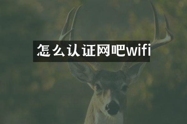 怎么认证网吧wifi