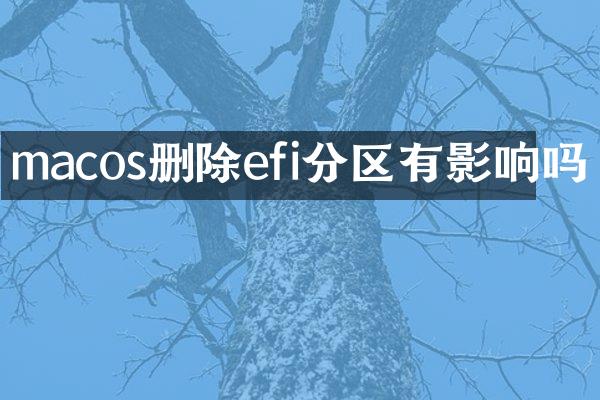 macos删除efi分区有影响吗
