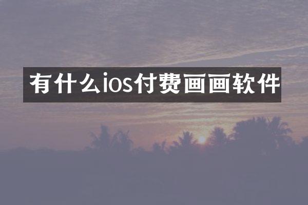 有什么ios付费画画软件