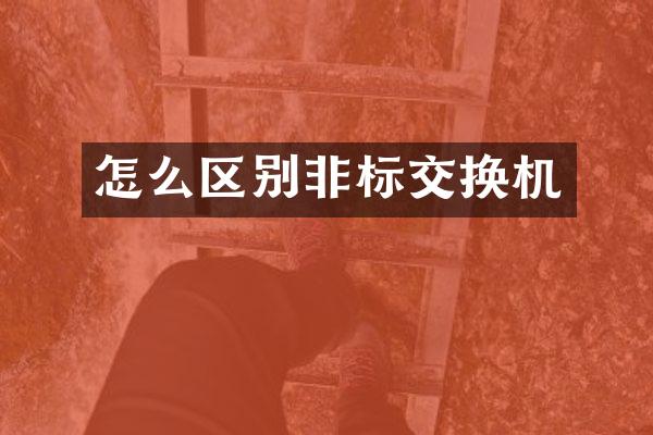 怎么区别非标交换机