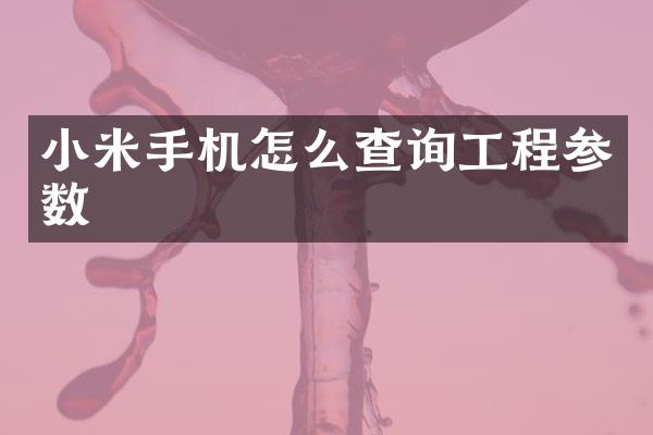 小米手机怎么查询工程参数