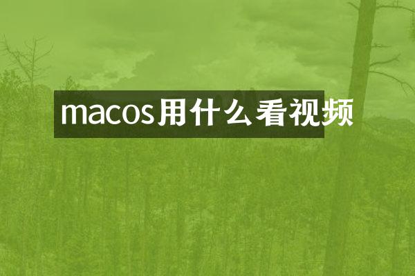 macos用什么看视频