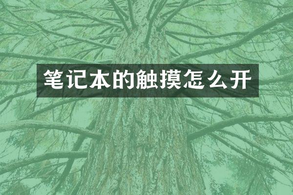 笔记本的触摸怎么开