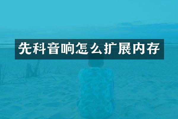 先科音响怎么扩展内存
