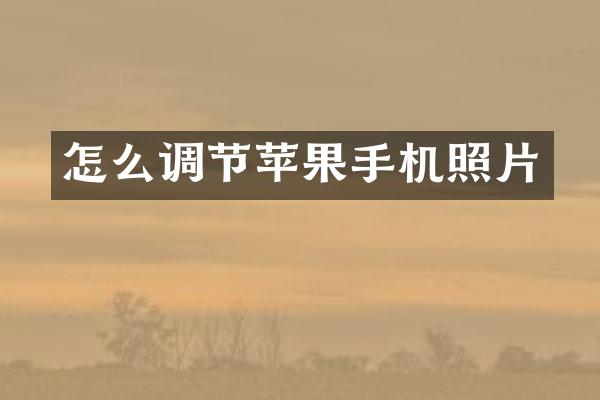 怎么调节苹果手机照片