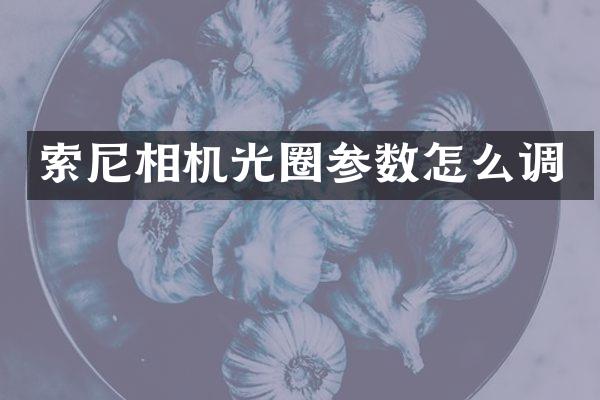 索尼相机光圈参数怎么调