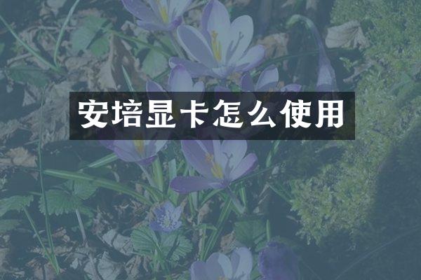 安培显卡怎么使用