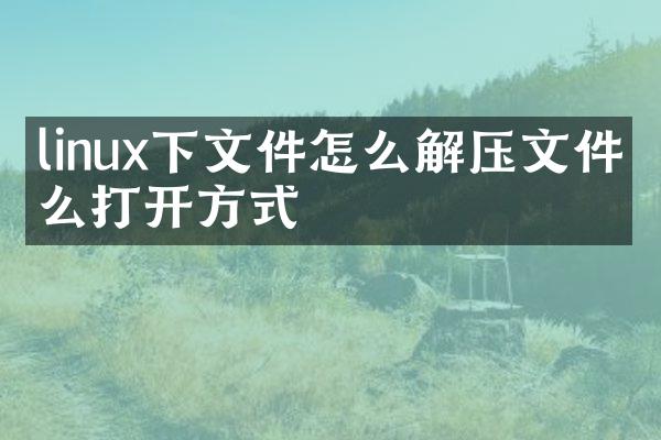 linux下文件怎么解压文件怎么打开方式