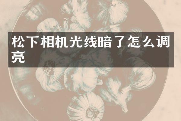松下相机光线暗了怎么调亮