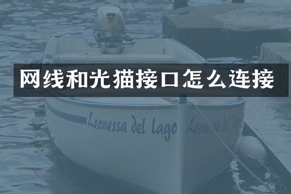 网线和光猫接口怎么连接