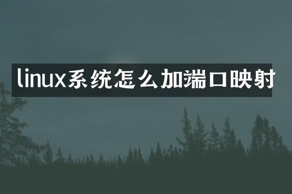 linux系统怎么加端口映射
