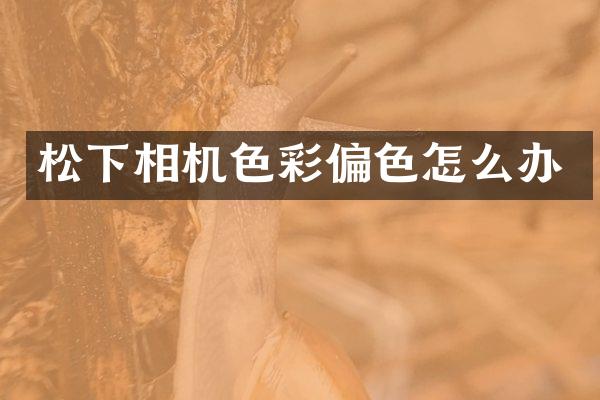 松下相机色彩偏色怎么办