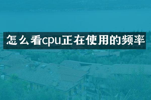 怎么看cpu正在使用的频率