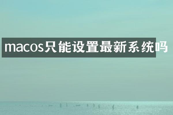 macos只能设置最新系统吗