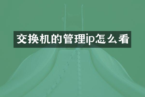 交换机的管理ip怎么看