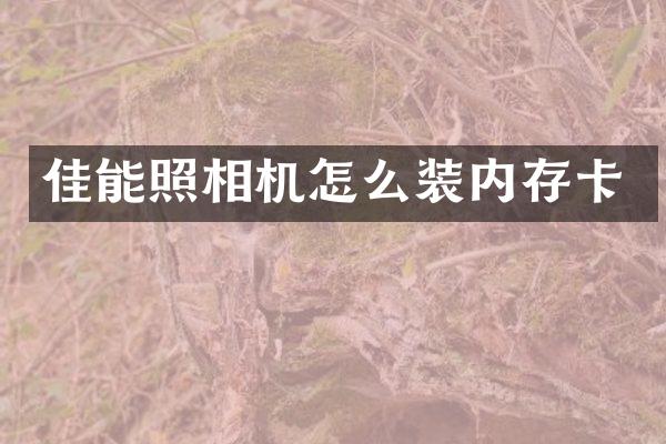佳能照相机怎么装内存卡