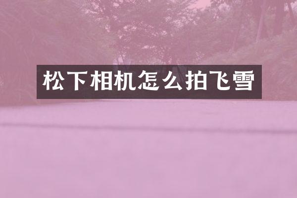 松下相机怎么拍飞雪
