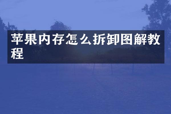 苹果内存怎么拆卸图解教程