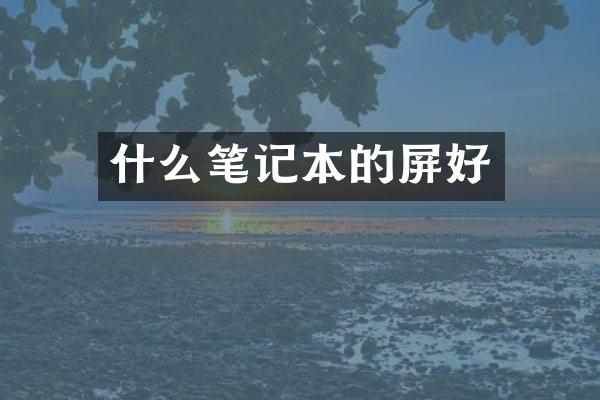 什么笔记本的屏好