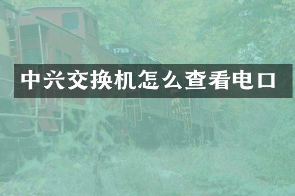 中兴交换机怎么查看电口