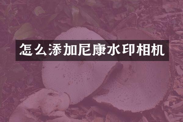 怎么添加尼康水印相机