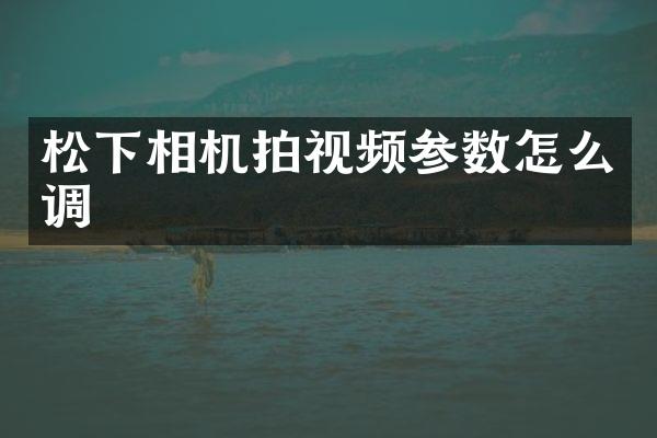 松下相机拍视频参数怎么调