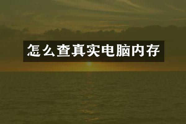 怎么查真实电脑内存