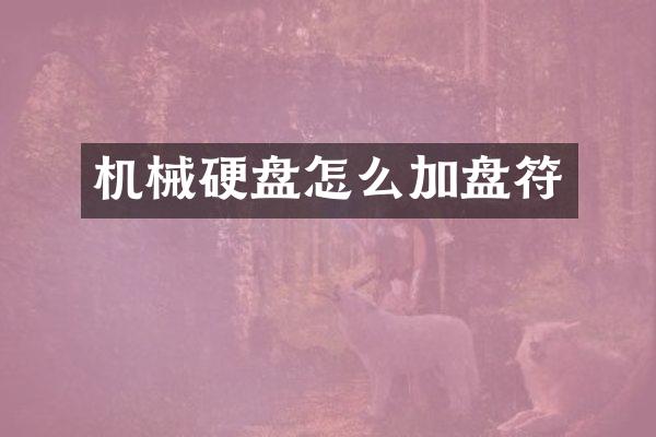 机械硬盘怎么加盘符