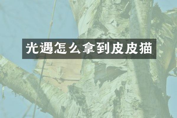 光遇怎么拿到皮皮猫