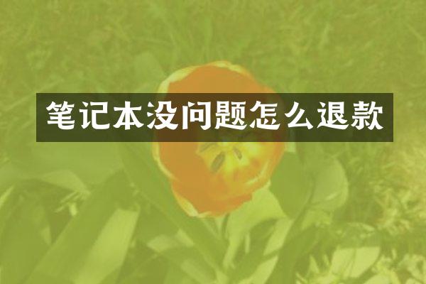 笔记本没问题怎么退款
