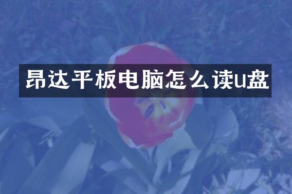 昂达平板电脑怎么读u盘