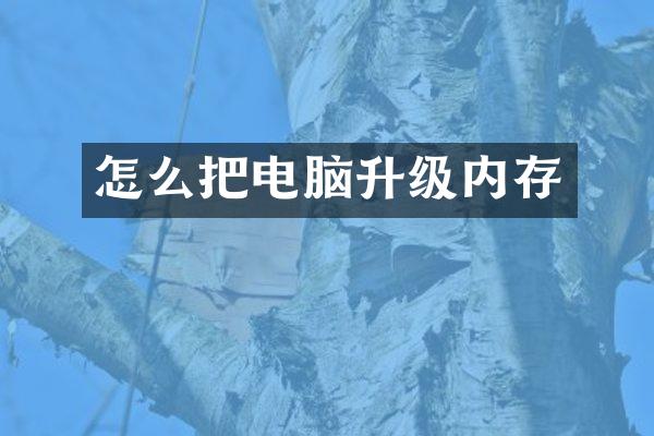 怎么把电脑升级内存