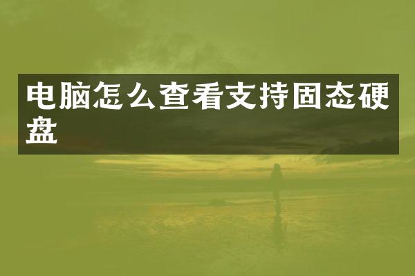 电脑怎么查看支持固态硬盘