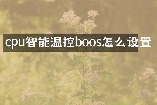 cpu智能温控boos怎么设置