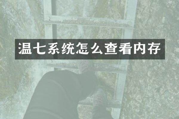 温七系统怎么查看内存