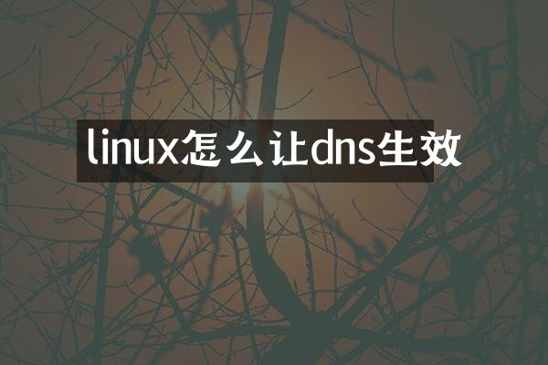linux怎么让dns生效