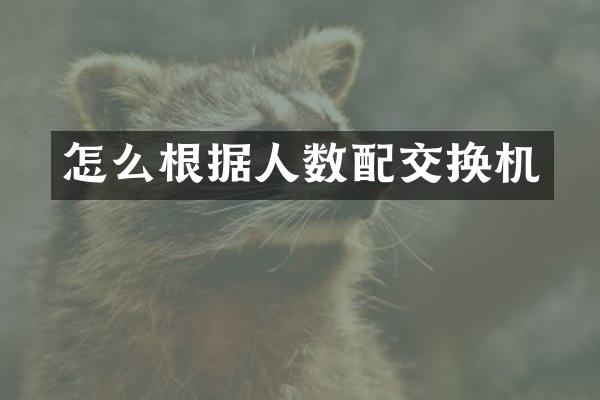 怎么根据人数配交换机