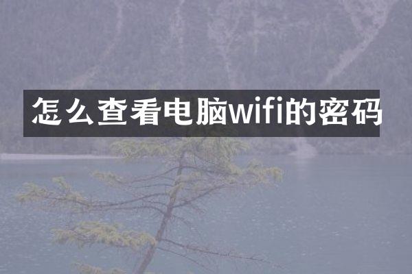 怎么查看电脑wifi的密码