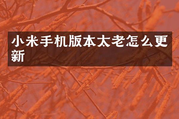 小米手机版本太老怎么更新
