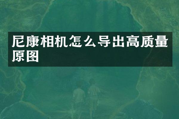 尼康相机怎么导出高质量原图