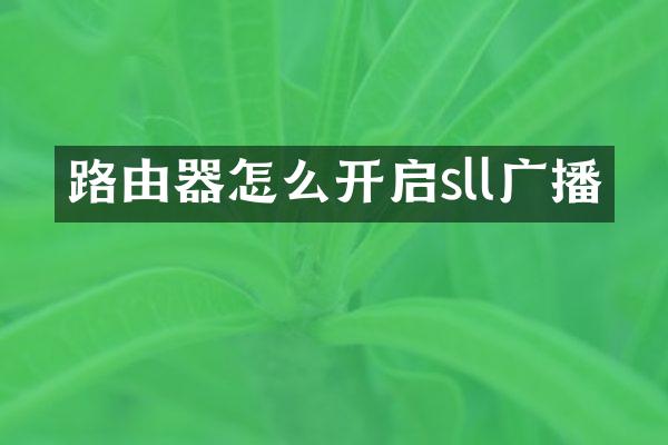 路由器怎么开启sll广播