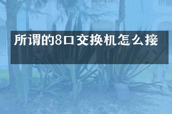 所谓的8口交换机怎么接法