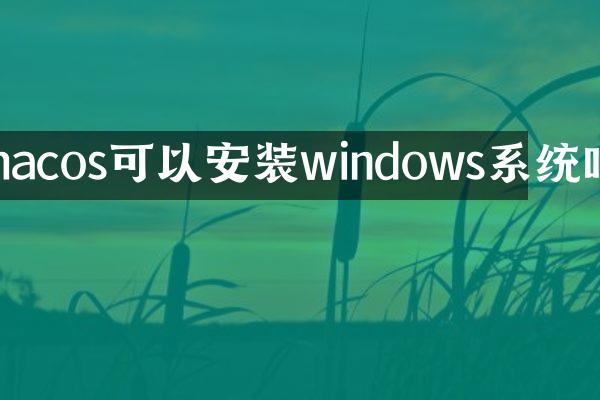 macos可以安装windows系统吗